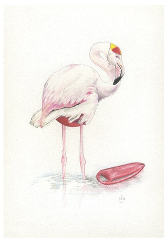 Steve the flamingo