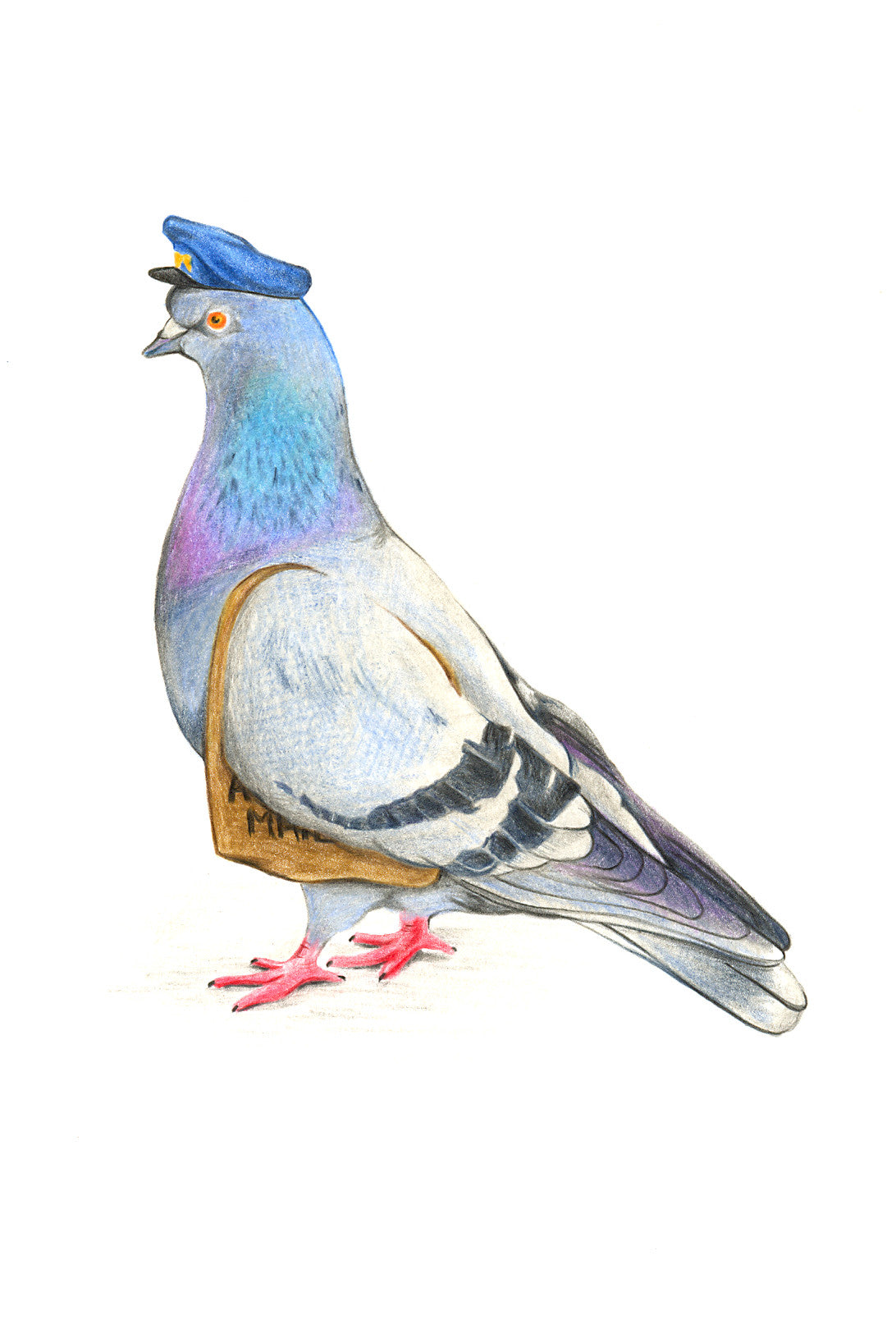 Sita - Pigeon Observational Sketch- May 2022